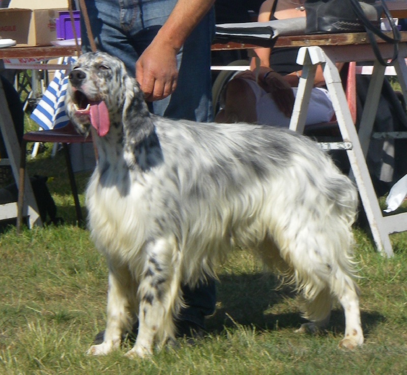 EMIR de la bleure rambault